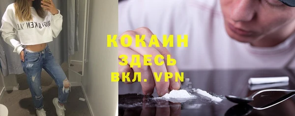 тгк Алексин